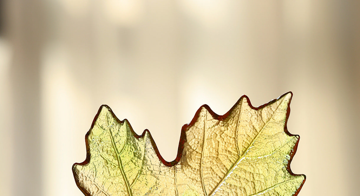 c0112ef6-915d-4dc4-8490-7907eec0514f