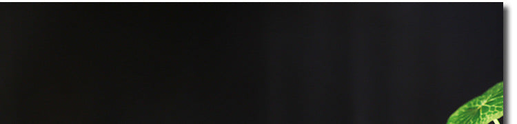 703448d9-e258-4659-8d7a-8292f0a9734c