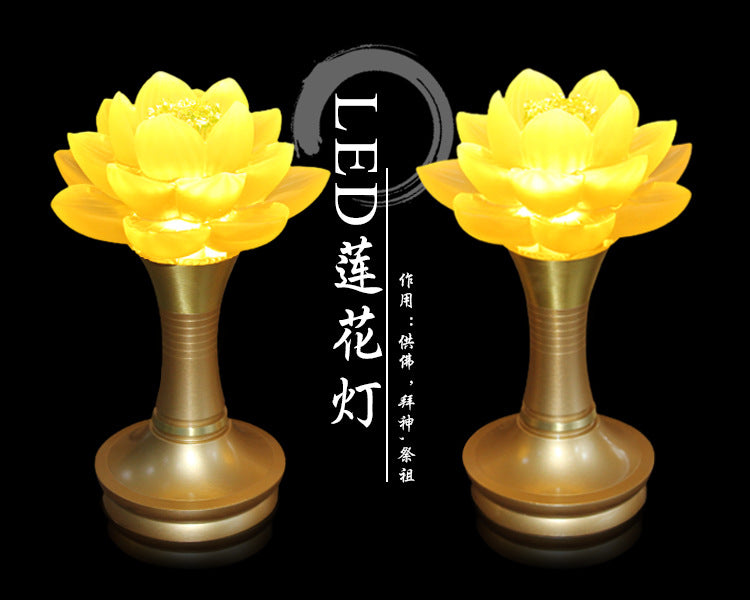 538ce1f3-7f09-4fab-982f-3579d29fae9c